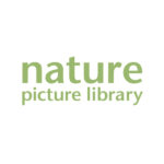 Nature Picture Library Ltd.